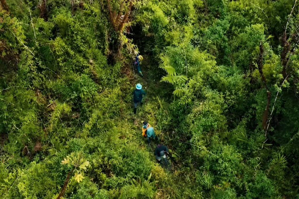 Ecuador descubre que uno de sus corredores ecológicos escondía el doble de pequeños mamíferos de lo que se conocía