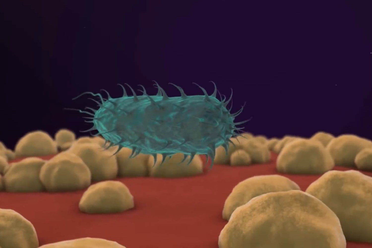 La llamada “bacteria comecarne” sigue siendo rara, aunque los mares cálidos aumentan el riesgo