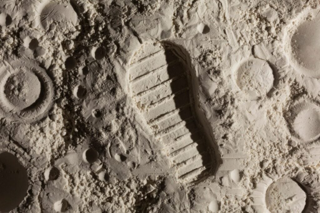 Microorganismos terrestres podrían sobrevivir durante meses en la Luna y la NASA ya ve un problema