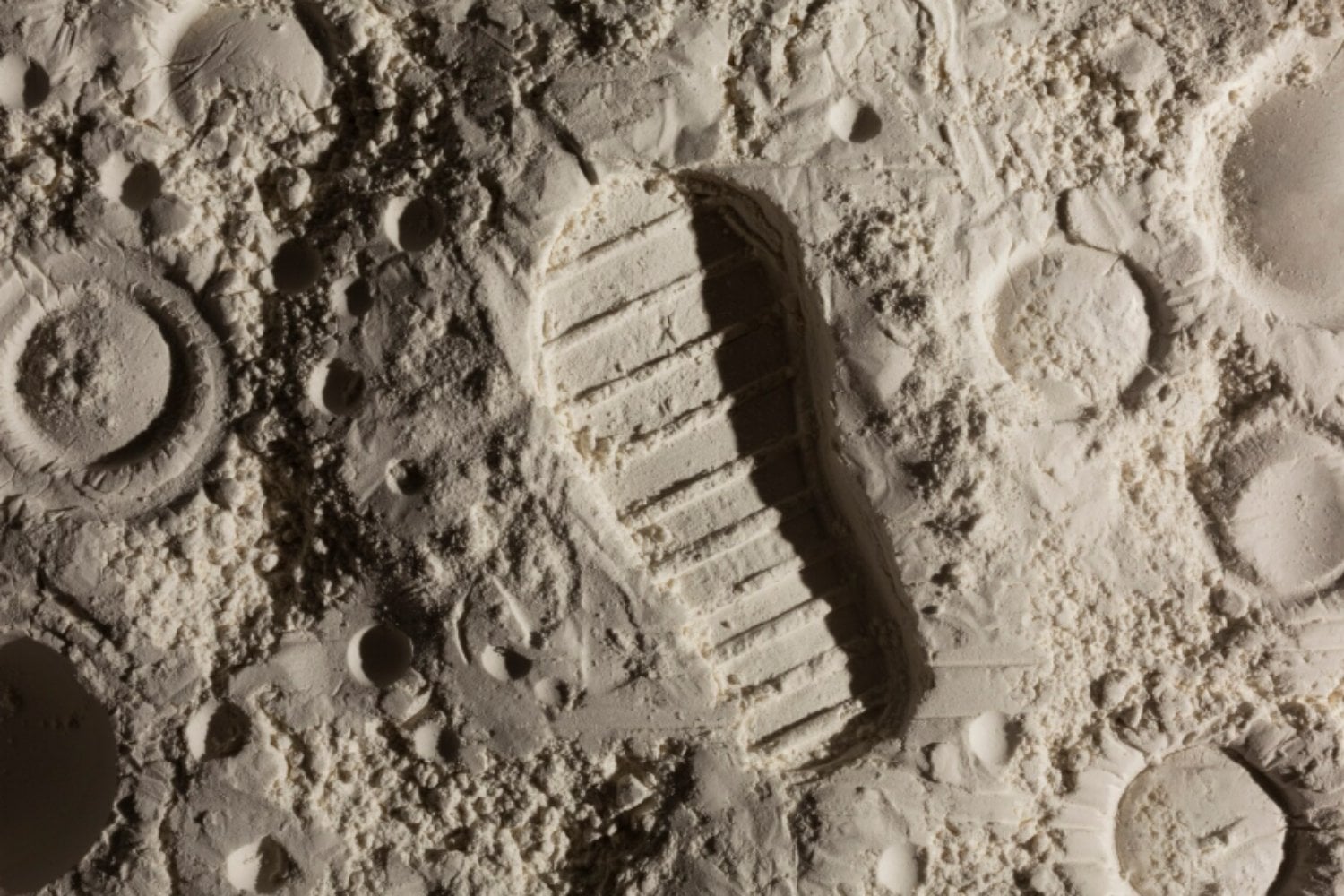 Microorganismos terrestres podrían sobrevivir durante meses en la Luna y la NASA ya ve un problema