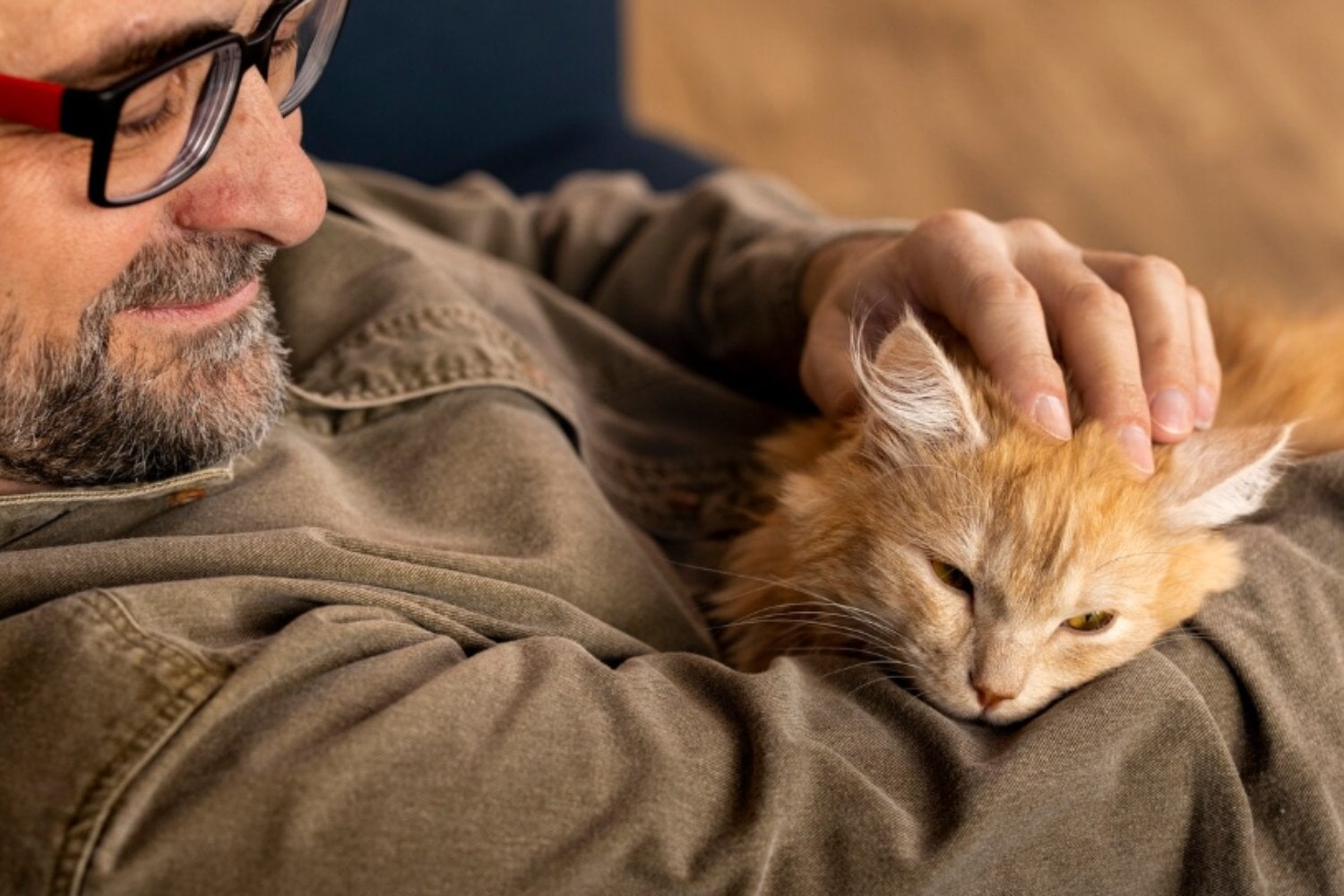 El vínculo con los gatos puede ayudar a regular el estrés, pero la personalidad influye más de lo que parece
