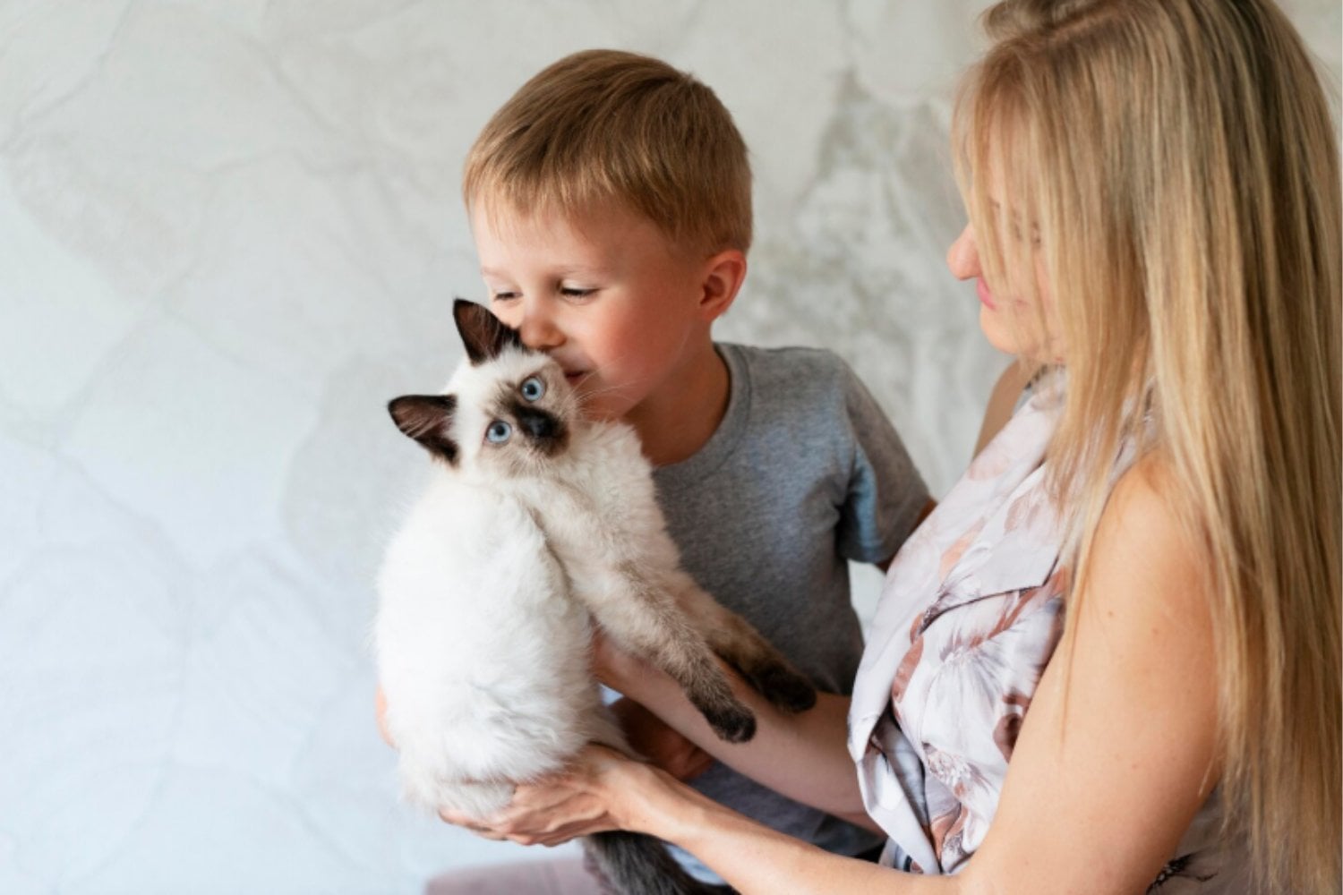 El vínculo con los gatos puede ayudar a regular el estrés, pero la personalidad influye más de lo que parece