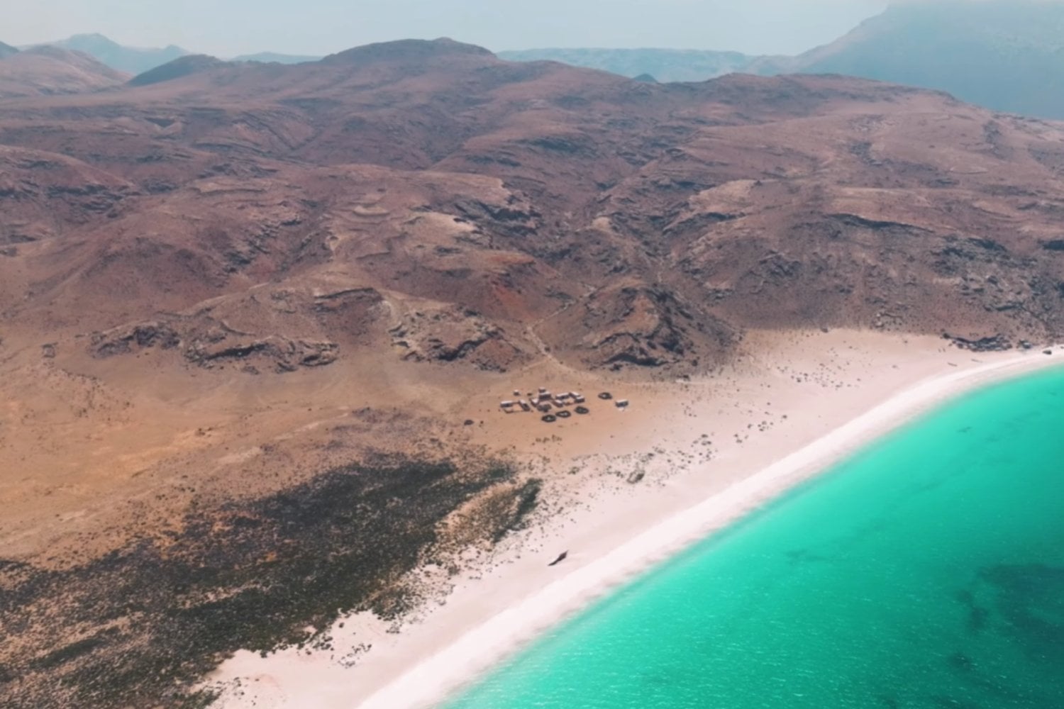 Parece otro planeta, pero está en la Tierra: la isla con árboles de Sangre de Dragón y cientos de especies únicas