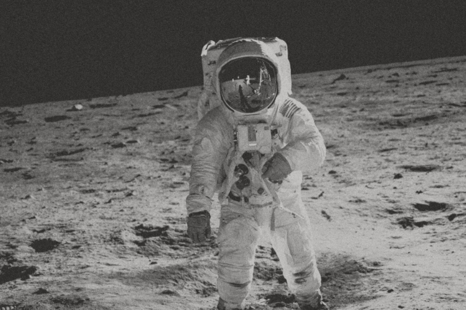 Microorganismos terrestres podrían sobrevivir durante meses en la Luna y la NASA ya ve un problema