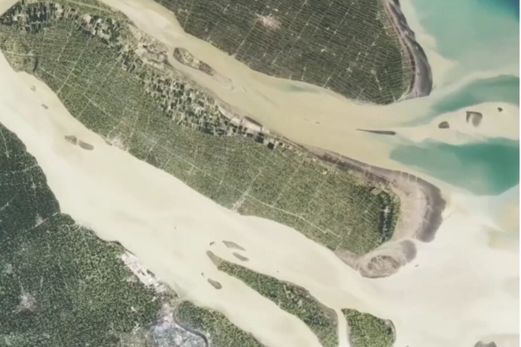 China prohibió pescar durante 10 años en el río más largo de Asia: cinco años después, los peces están regresando