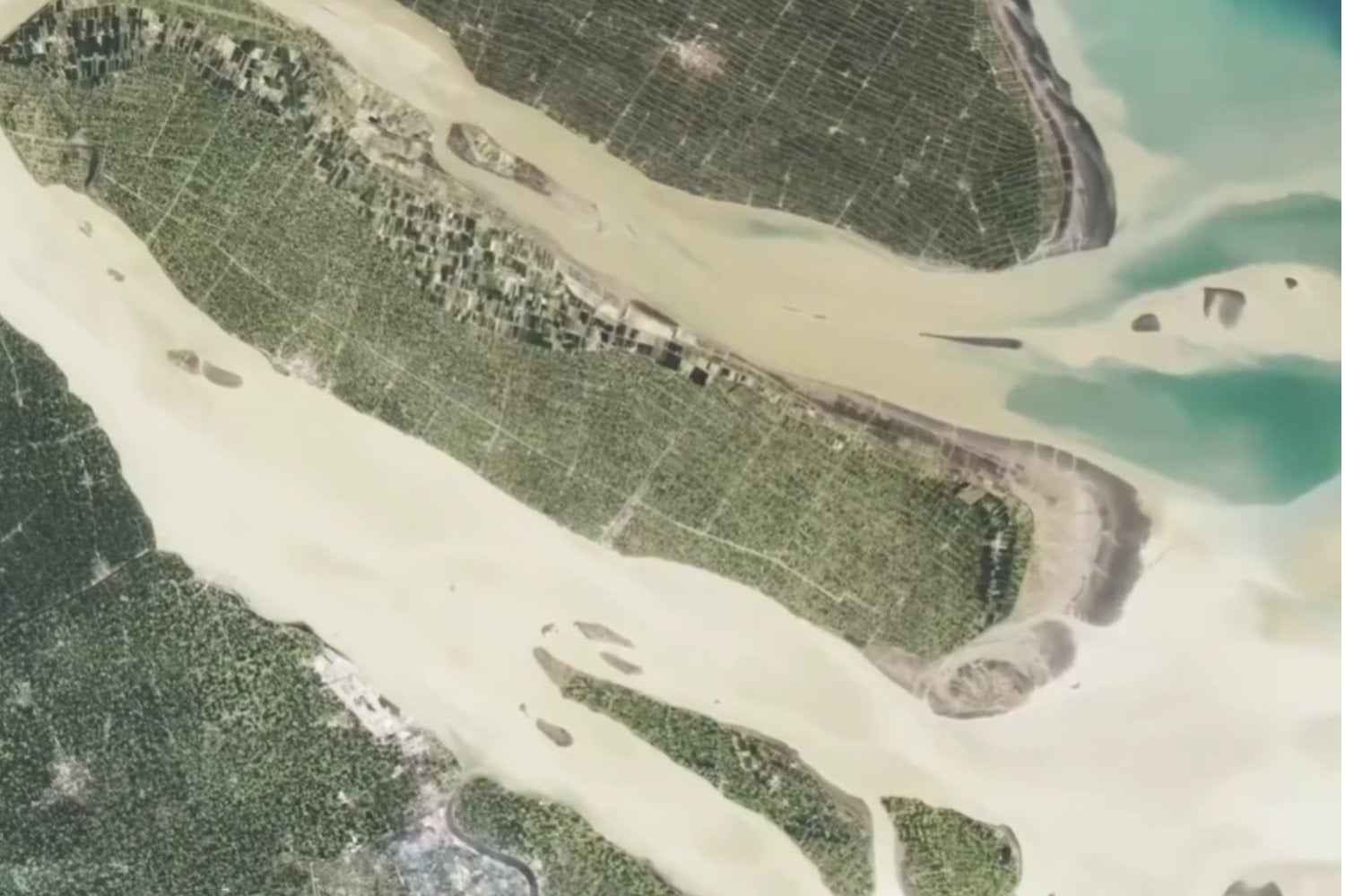 China prohibió pescar durante 10 años en el río más largo de Asia: cinco años después, los peces están regresando