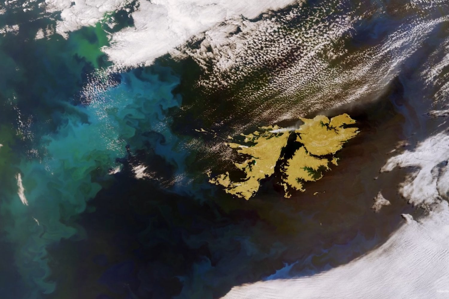 El océano cambió de color cerca de las Malvinas y solo podía verse desde el espacio
