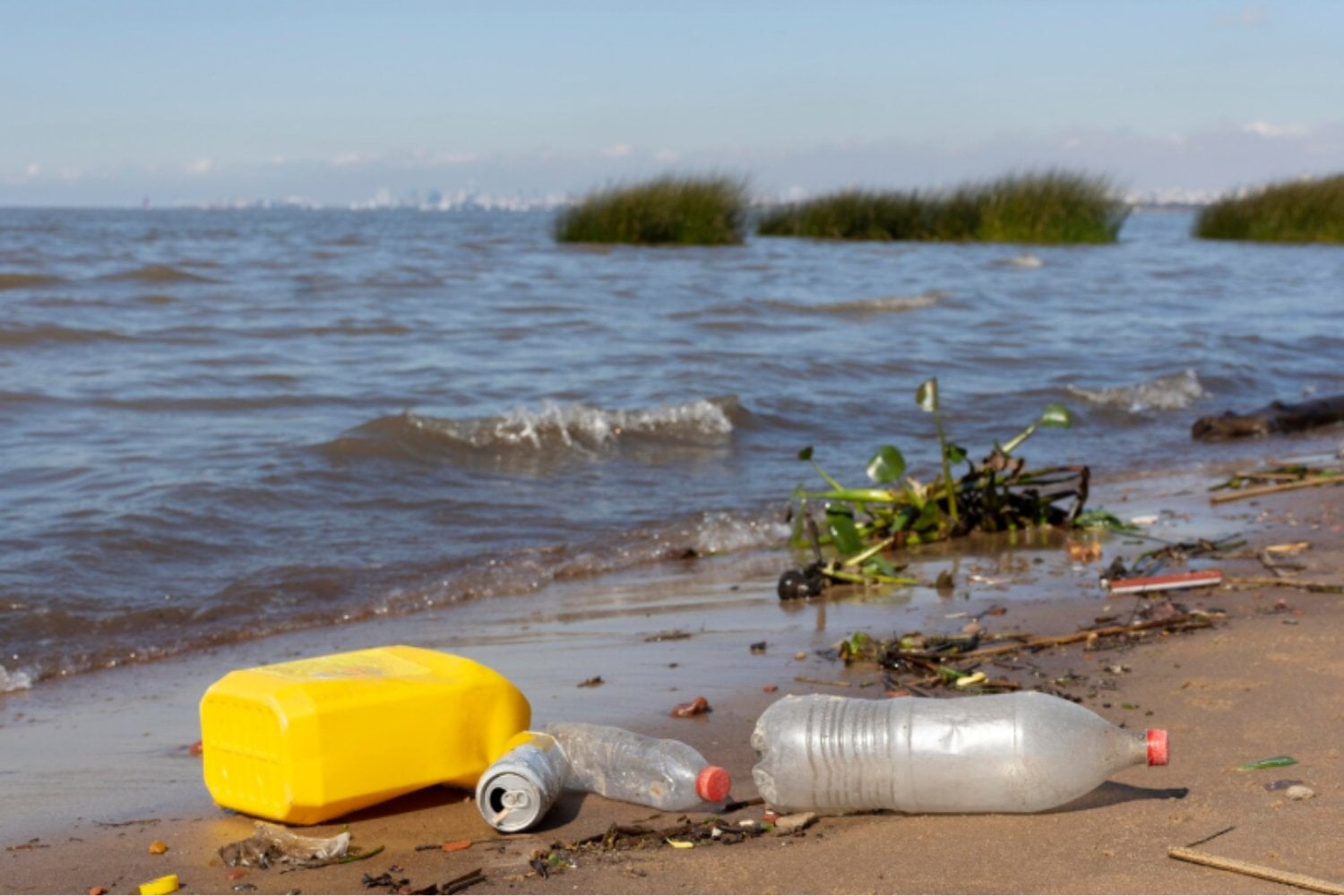 El océano está creando un nuevo ecosistema sobre nuestra basura: así funciona la ‘plastisfera’
