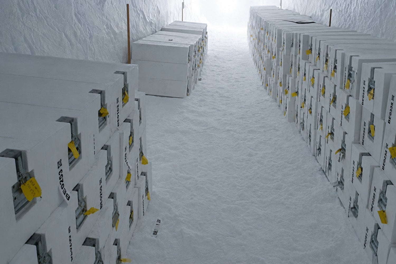 La Antártida guarda una bóveda de hielo para los científicos del futuro: conserva muestras de glaciares que podrían desaparecer