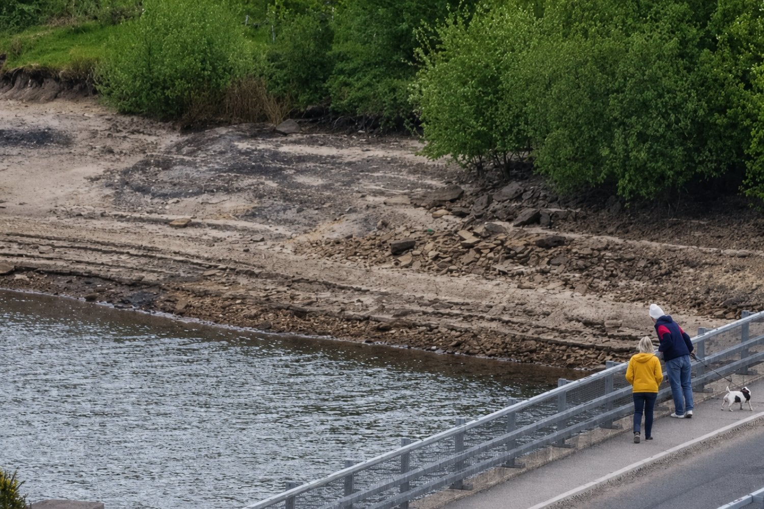 El Reino Unido siempre fue sinónimo de paisajes verdes: una sequía histórica los está convirtiendo en grandes extensiones marrones