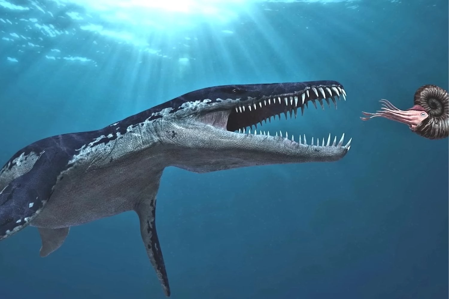 El monstruo marino más famoso del Jurásico nunca fue tan enorme como mostró la televisión