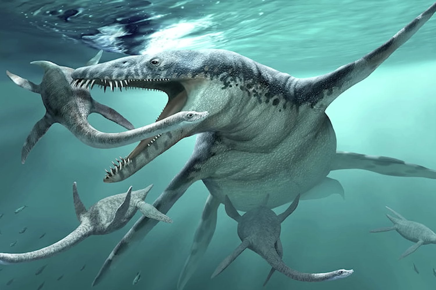 El monstruo marino más famoso del Jurásico nunca fue tan enorme como mostró la televisión