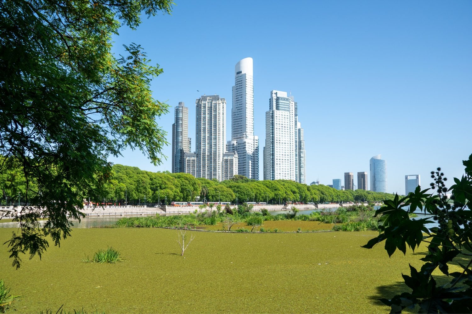 Reserva Ecológica Costanera Sur