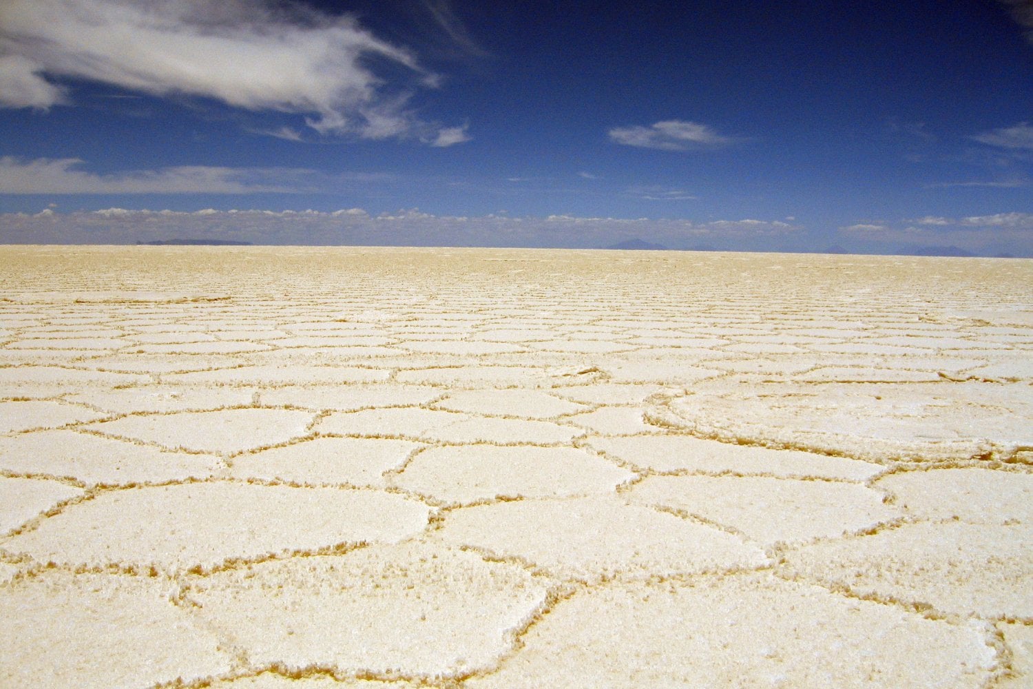 Desierto De Sal