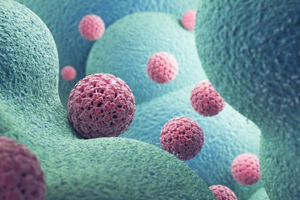 Hpv