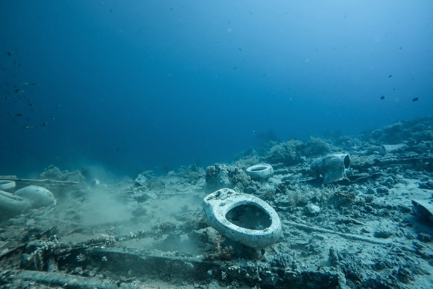 Inodoro Bajo El Agua