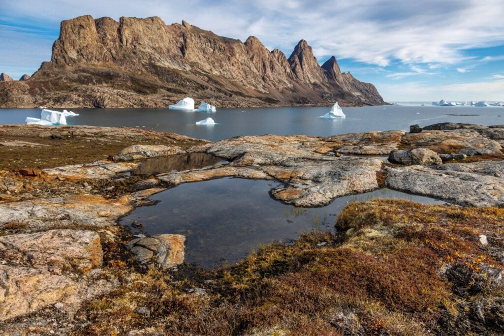 Isla Del Oso