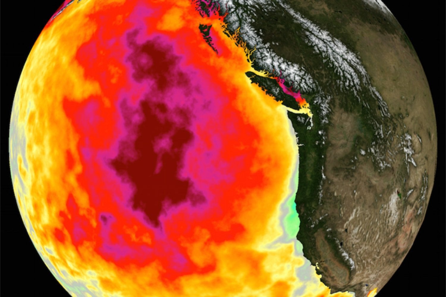 Ola De Calor The Blob