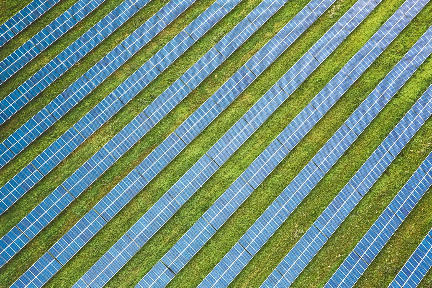Planta Solar