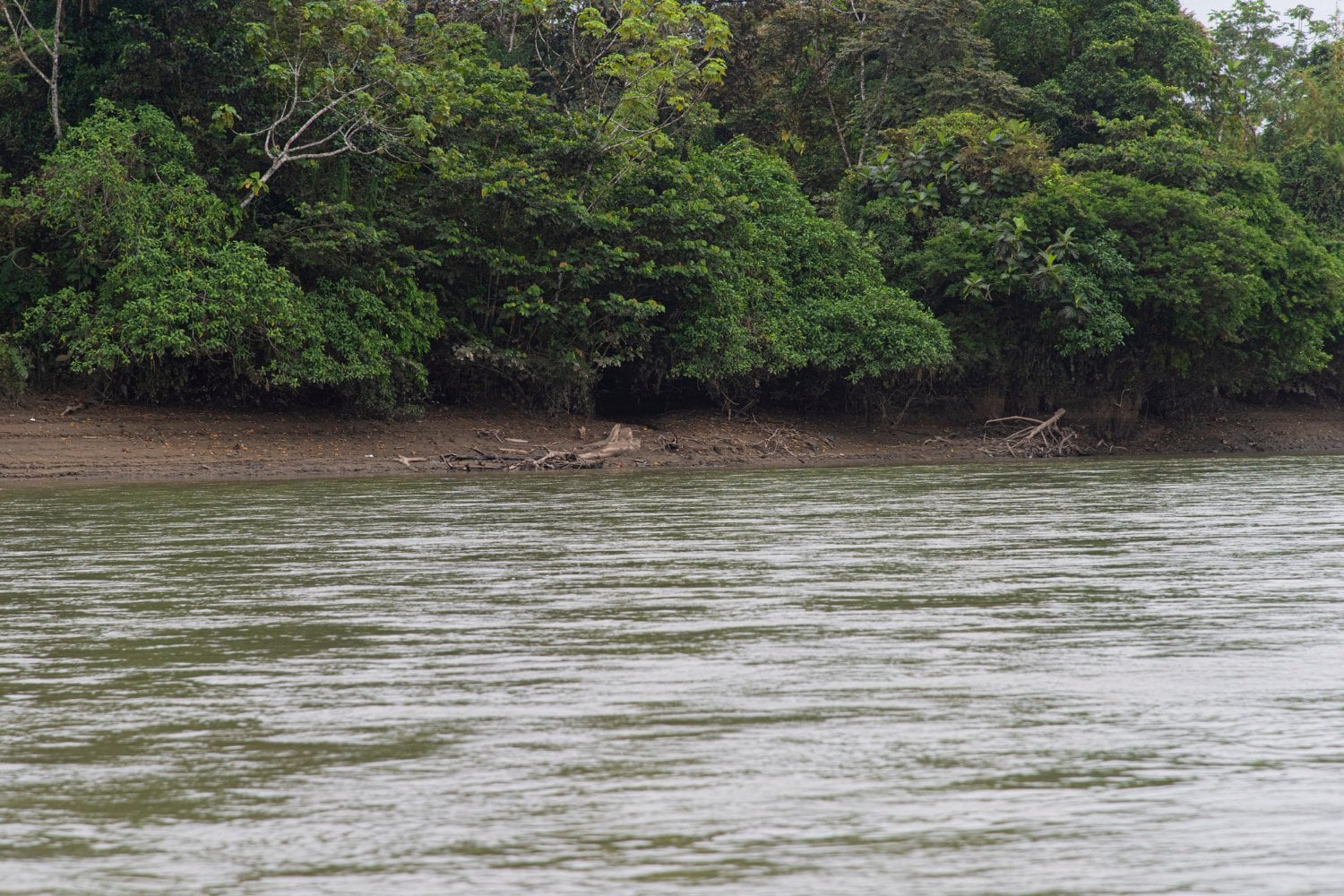 Rio Atrato Colombia