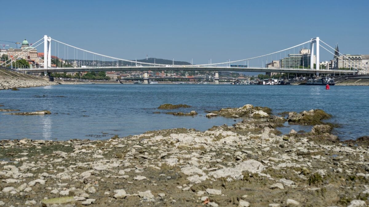 La sequía dejó al Danubio tan bajo que resurgieron 200 barcos nazis cargados de explosivos y huesos de mamut, y obligó a apagar reactores nucleares por primera vez en la historia