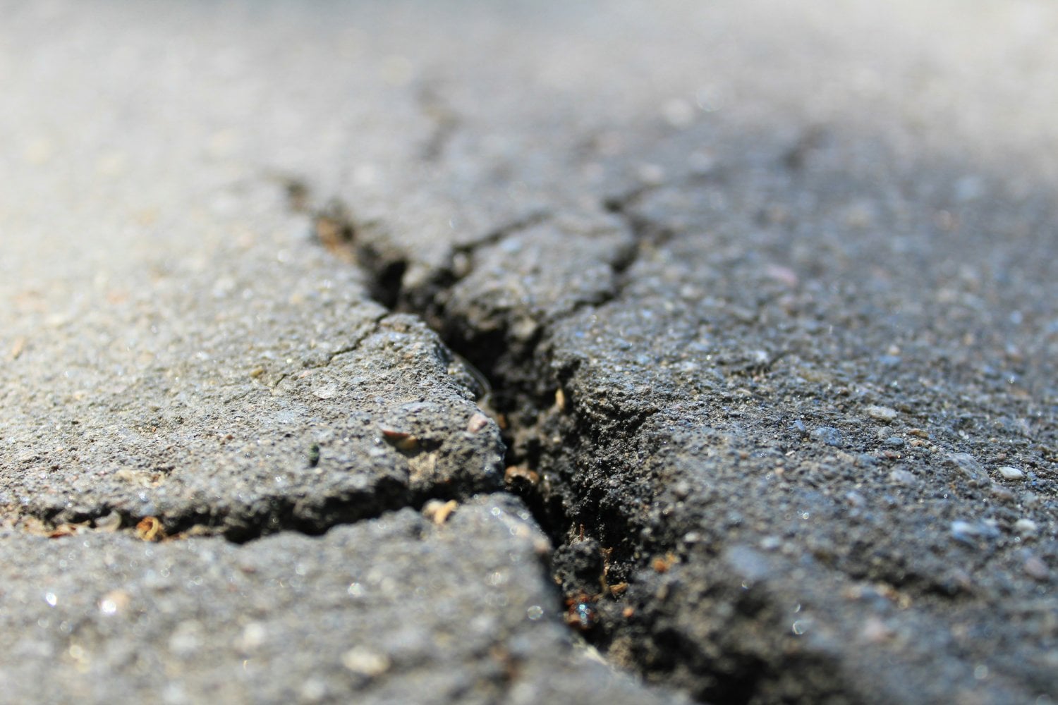 Sismo