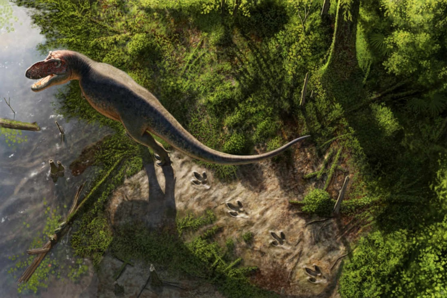 Un profesor encontró dos huellas gigantes en Dakota del Norte. 66,5 millones de años después, resultaron ser el primer rastro conocido de un T. rex adulto