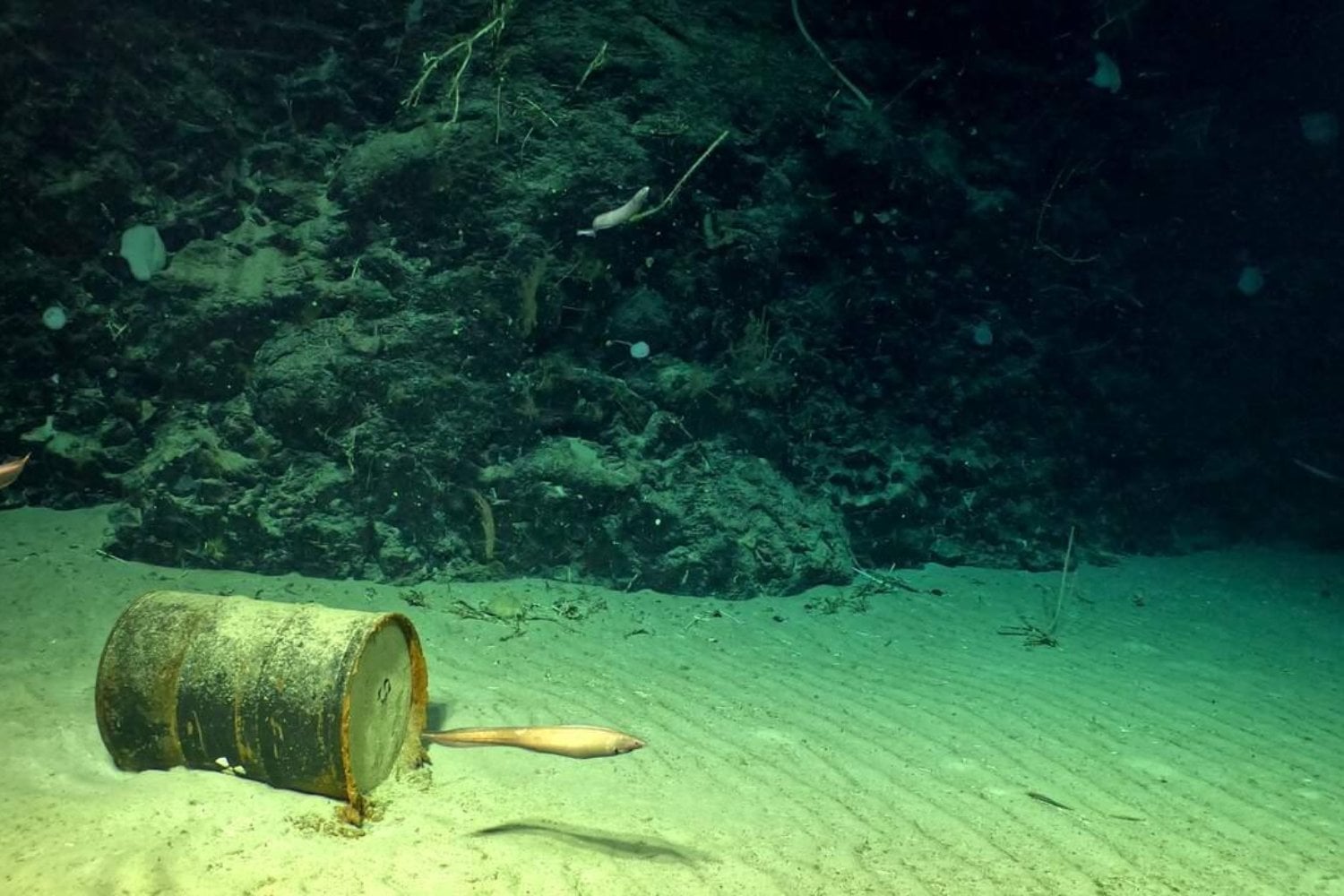 Durante décadas, Europa arrojó más de 200.000 barriles de residuos radiactivos al Atlántico. Ahora los científicos han bajado 4.700 metros y han encontrado algunos deteriorados y derramando su contenido