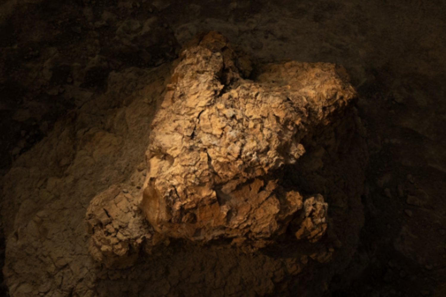 Un profesor encontró dos huellas gigantes en Dakota del Norte. 66,5 millones de años después, resultaron ser el primer rastro conocido de un T. rex adulto