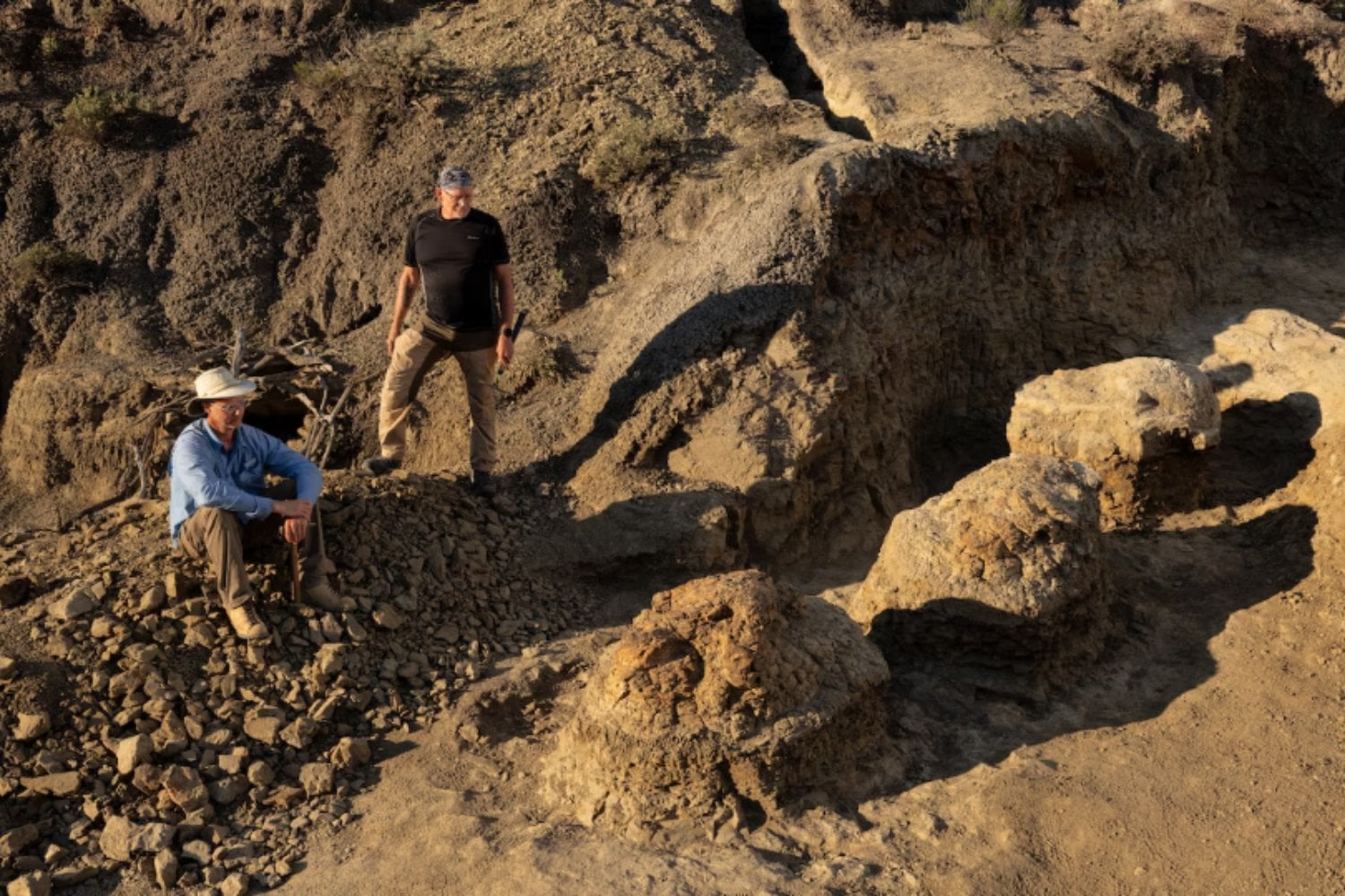 Un profesor encontró dos huellas gigantes en Dakota del Norte. 66,5 millones de años después, resultaron ser el primer rastro conocido de un T. rex adulto