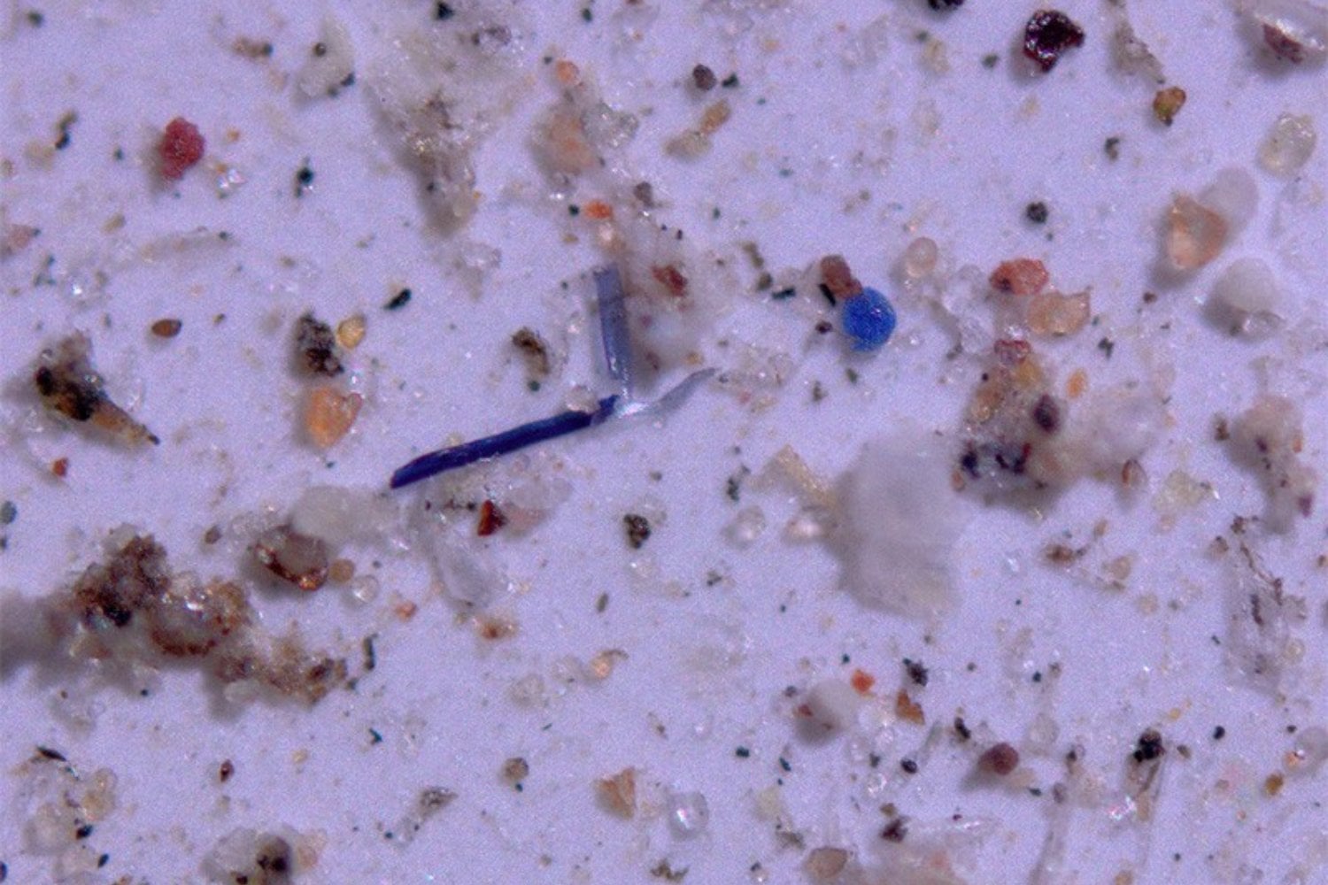 Los microplásticos del suelo tienen un problema: un filtro no puede ir a buscarlos. Estos microrrobots magnéticos sí, y ya han retirado hasta el 81% en laboratorio