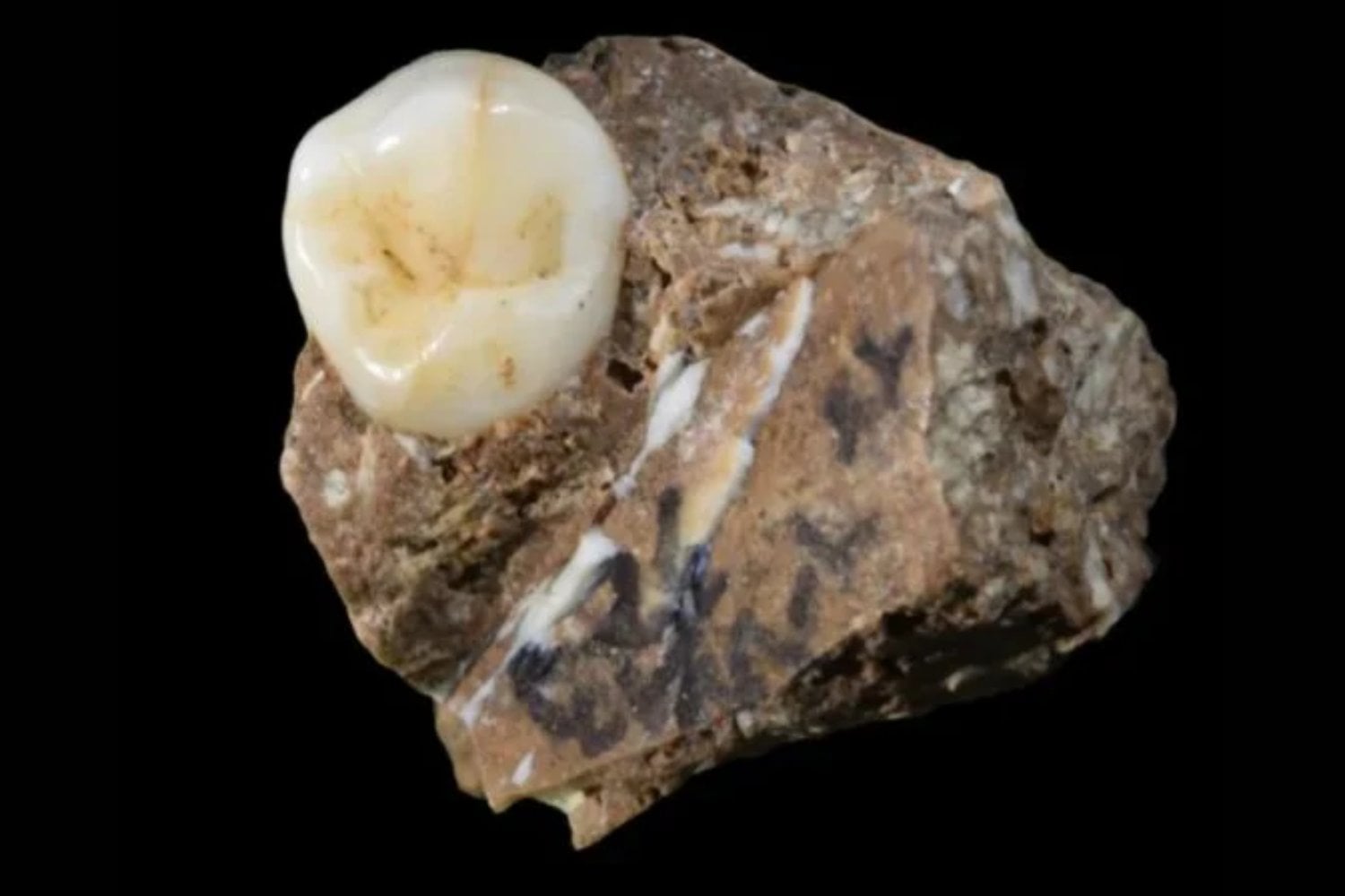 Durante años los denisovanos fueron poco más que un puñado de huesos y ADN antiguo. Una cueva en China acaba de cambiarlo todo: 1.366 herramientas revelan cómo cazaban, comían y sobrevivían nuestros misteriosos primos humanos