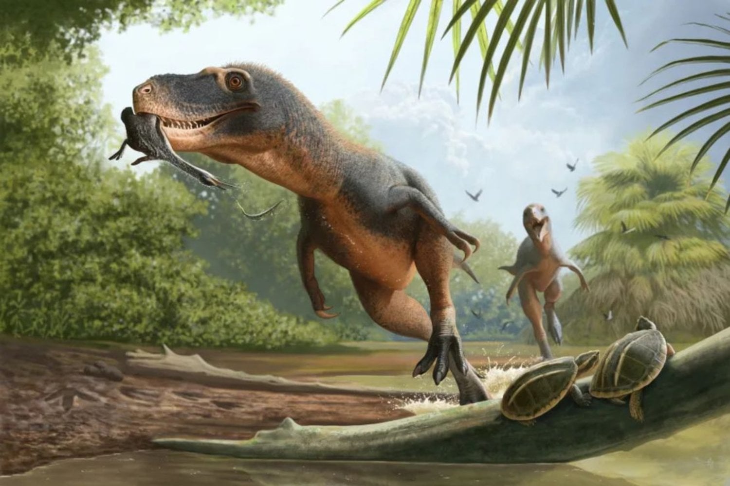Un dinosaurio se comió un ave poco antes del asteroide y sus heces la conservaron durante 66 millones de años. Ahora, una diminuta pluma puede explicar por qué sus parientes modernos sobrevivieron al apocalipsis