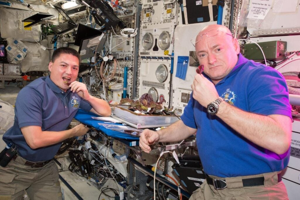 Hemos conseguido cultivar lechugas en el espacio y llevarlas hasta el plato. El problema es que pueden perder un 31% de calcio justo donde nuestros huesos más lo necesitan