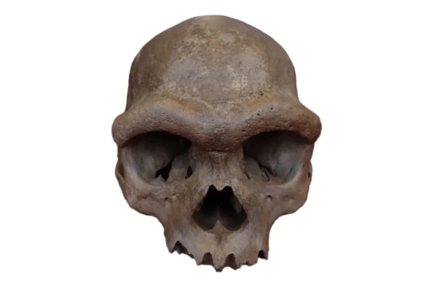 Durante años los denisovanos fueron poco más que un puñado de huesos y ADN antiguo. Una cueva en China acaba de cambiarlo todo: 1.366 herramientas revelan cómo cazaban, comían y sobrevivían nuestros misteriosos primos humanos