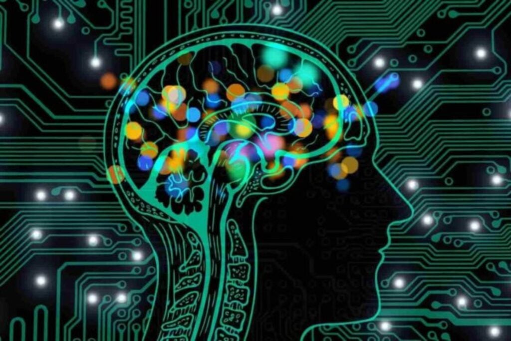 El cerebro humano parece una sola pieza. Stanford acaba de demostrar que empieza como dos sistemas distintos que nunca se mezclan