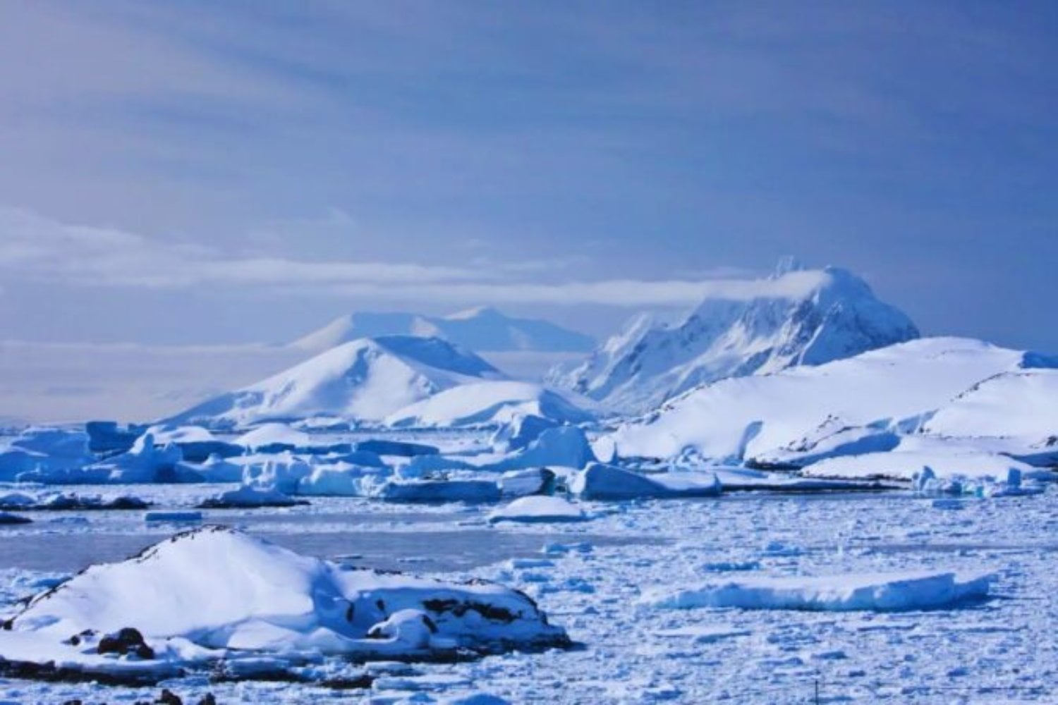 La Tierra cambió el ritmo de sus glaciaciones hace un millón de años y nadie sabía por qué. Unos granos de polen apuntan al culpable: los vientos del Atlántico