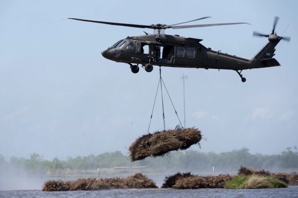 En Estados Unidos convirtieron más de un millón de árboles de Navidad usados en una máquina para fabricar tierra. Tres décadas después, sus ramas siguen levantando una barrera contra el mar