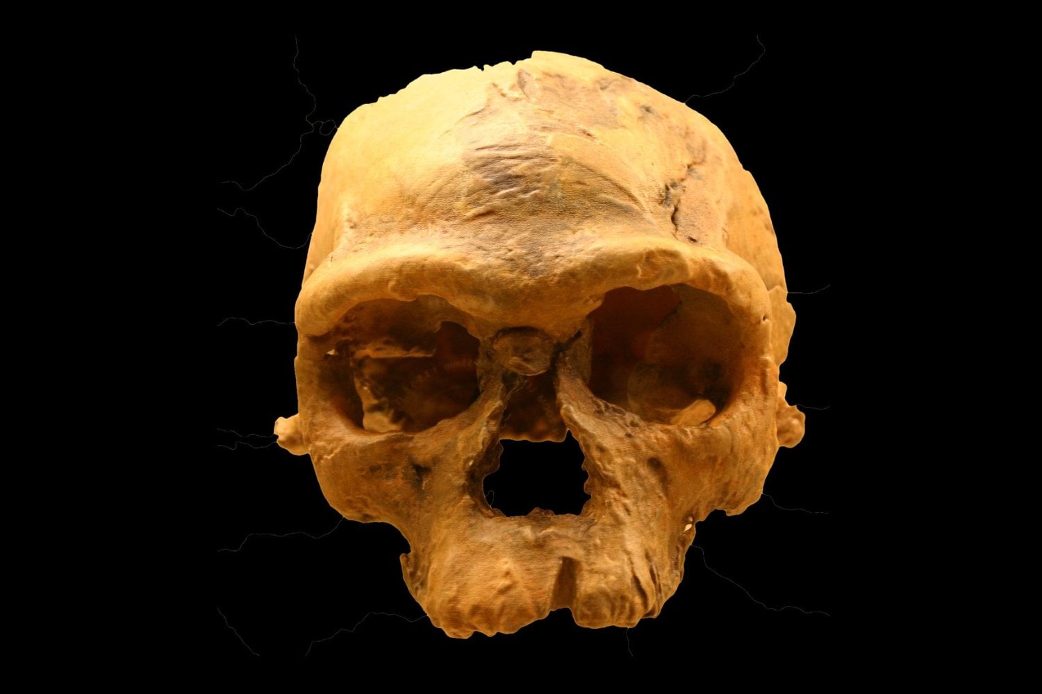Durante décadas imaginamos que un salto repentino nos convirtió en humanos modernos. Una revisión de fósiles, genes y herramientas sostiene que ese “momento Eureka” nunca ocurrió y deja al Homo sapiens sin una fecha exacta de nacimiento