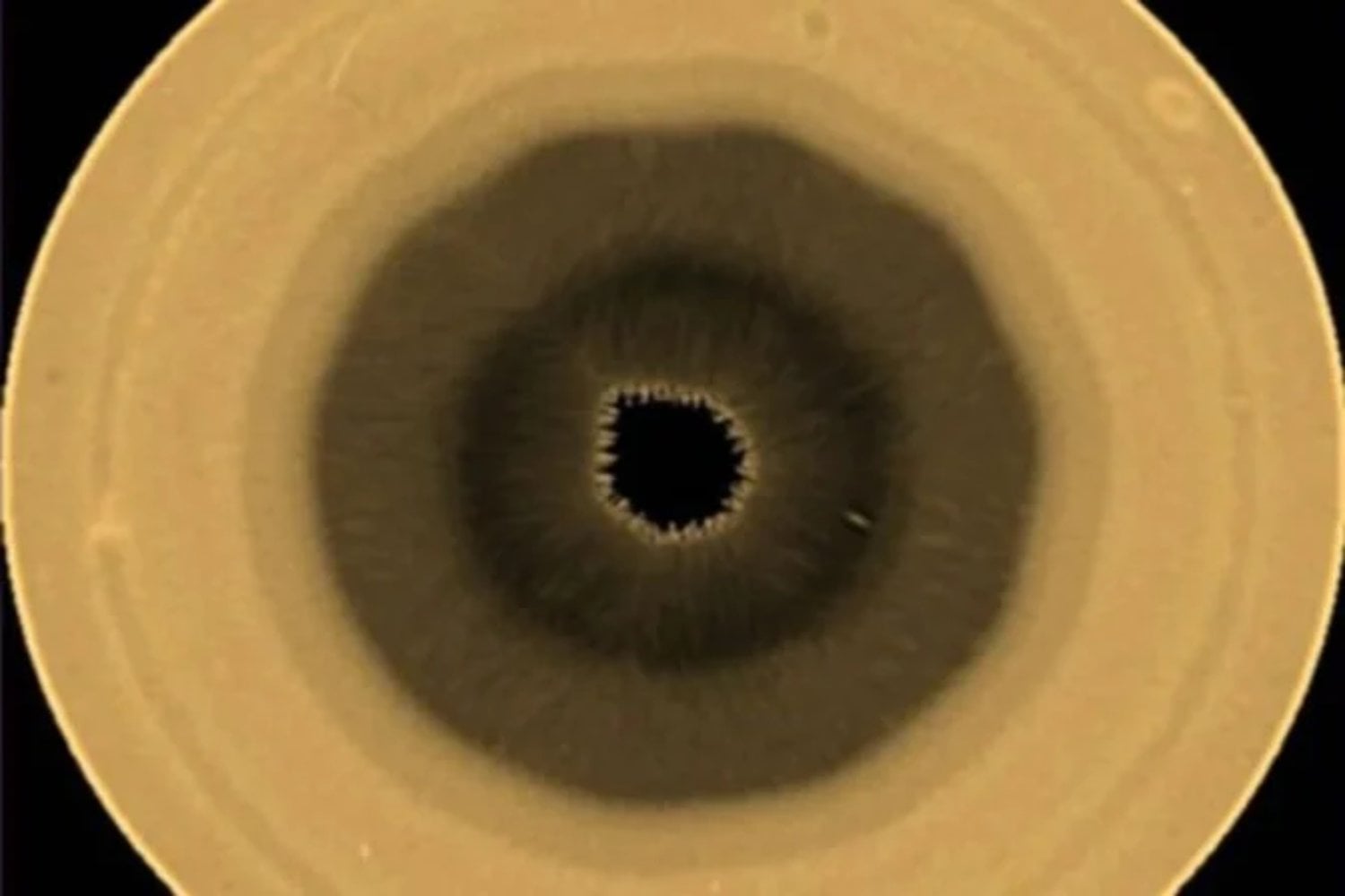 El polo sur de Saturno estuvo oculto durante años. Cuando volvió a aparecer, el Hubble encontró un decágono gigante que nadie sabe explicar