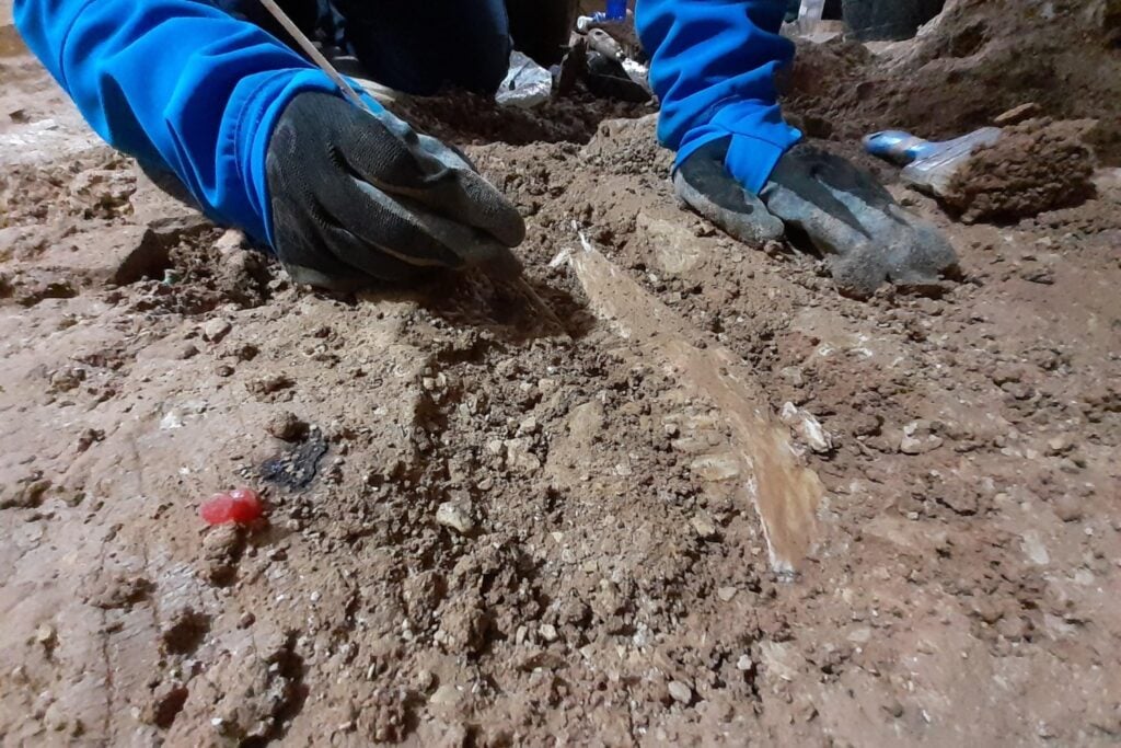 Hace 46.000 años, los neandertales de Burgos encontraron una cueva a la que no dejaron de volver durante generaciones. Los 140 metros excavados revelan que aquello era mucho más que un refugio