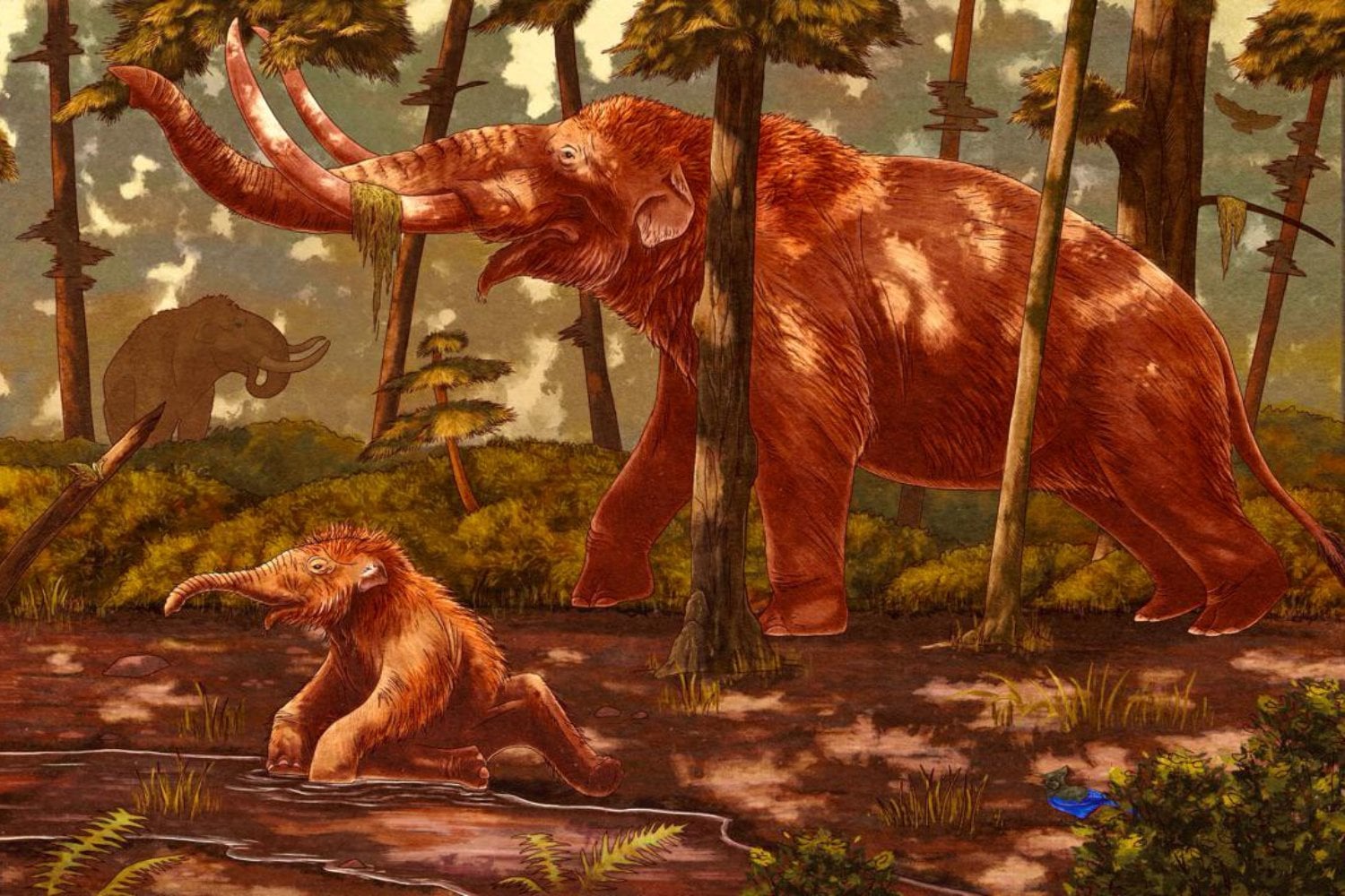 Parecía una simple roca atrapada en el fondo de un arroyo de California. En realidad era el enorme molar de un mastodonte que caminó por allí hace unos 10.000 años y quedó conservado casi a la perfección