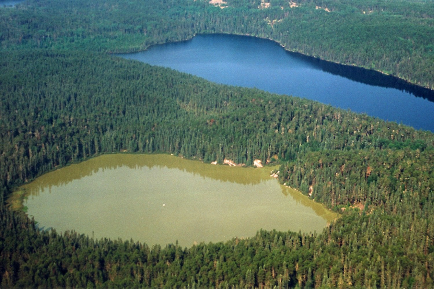 Científicos llevan 57 años haciendo un experimento insólito con un lago de Canadá. En 1990 cambiaron una sola cosa y el resultado desmontó una vieja idea
