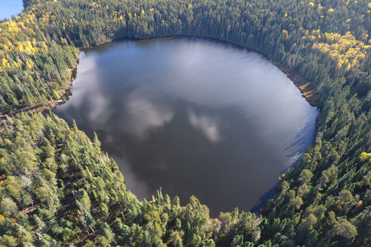 Científicos llevan 57 años haciendo un experimento insólito con un lago de Canadá. En 1990 cambiaron una sola cosa y el resultado desmontó una vieja idea