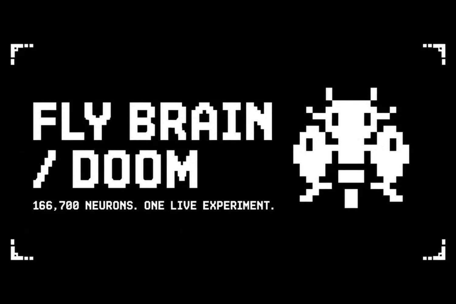 Google ayudó a reconstruir 166.691 neuronas de una mosca y liberó el mapa. Internet tardó tres días en enchufarlo a Doom y Mario, pero la mosca todavía no sabe jugar