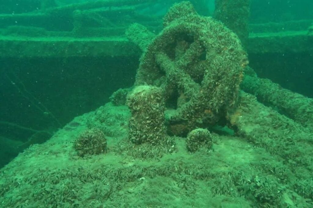 En los años 80, unos barcos vaciaron agua de lastre en los Grandes Lagos. Cuatro décadas después, EEUU ofrece 550.000 dólares para contener lo que salió de allí