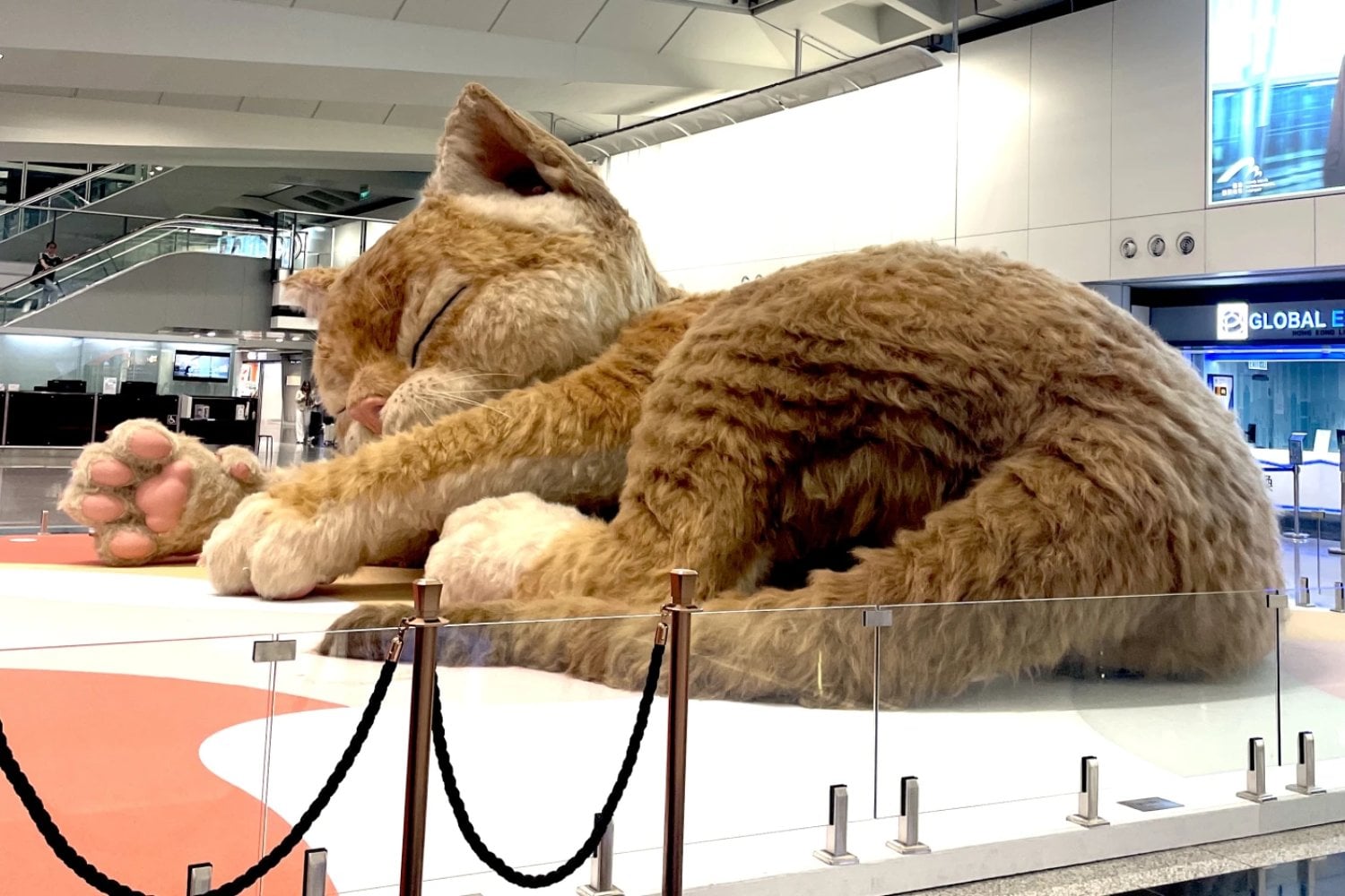 El aeropuerto de Hong Kong instaló por Pascua un gato interactivo de ocho metros. Debía quedarse solo un mes, pero terminó mudándose de terminal y ahora recibe viajeros las 24 horas