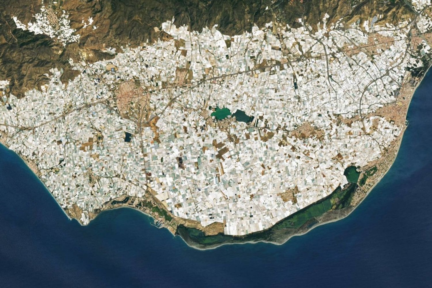 En los años 50, el Campo de Dalías era una llanura semiárida donde cultivar significaba pelear contra el viento y la falta de agua. Siete décadas después, 33.000 hectáreas de plástico producen más de cuatro millones de toneladas de frutas y hortalizas y hasta han enfriado el clima local