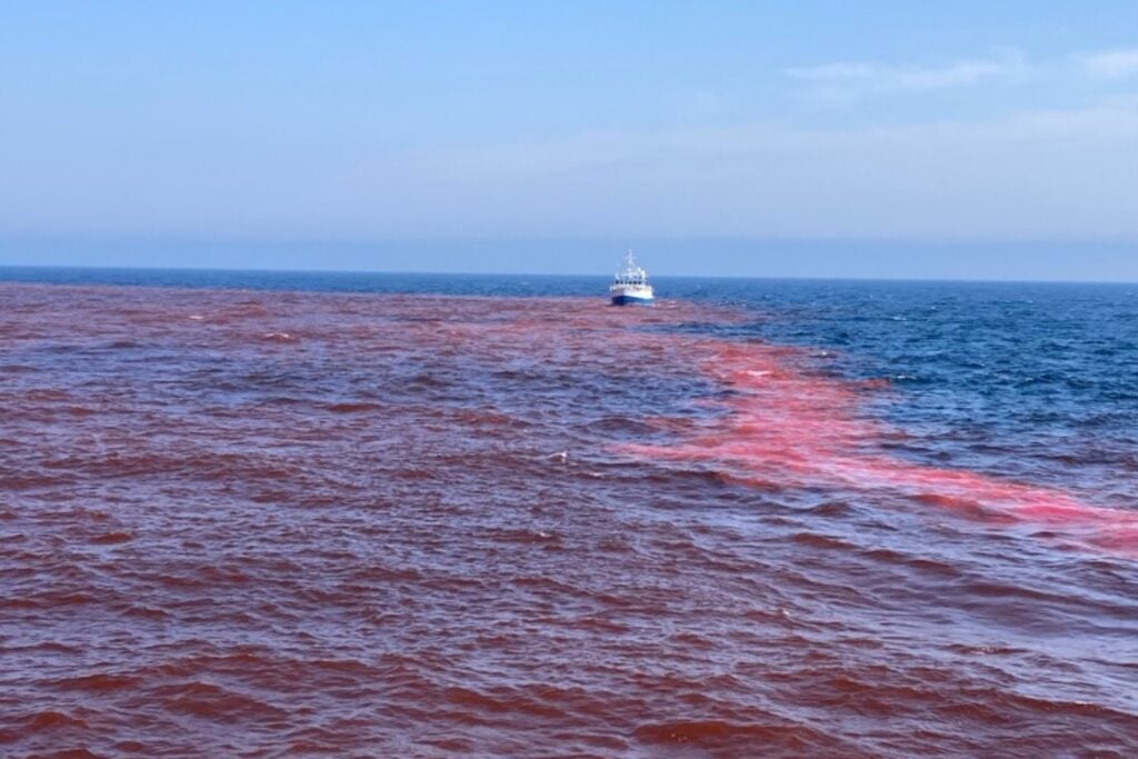 Un barco soltó 65.000 litros de sosa cáustica en el golfo de Maine y el océano se volvió rojo. No fue un accidente: científicos están probando si cambiar la química del mar puede hacer que capture mucho más CO₂