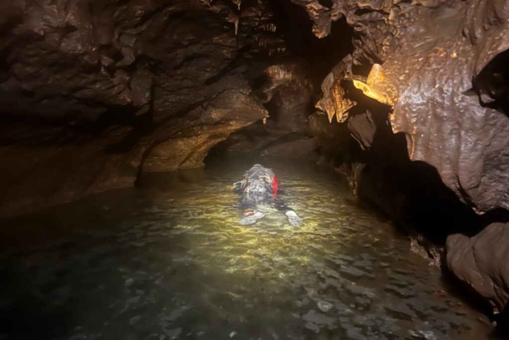 Un paleontólogo se metió con neopreno y snorkel en una cueva inundada de Texas. El fondo estaba cubierto de fósiles que no encajan con el clima que creíamos que tenía la región